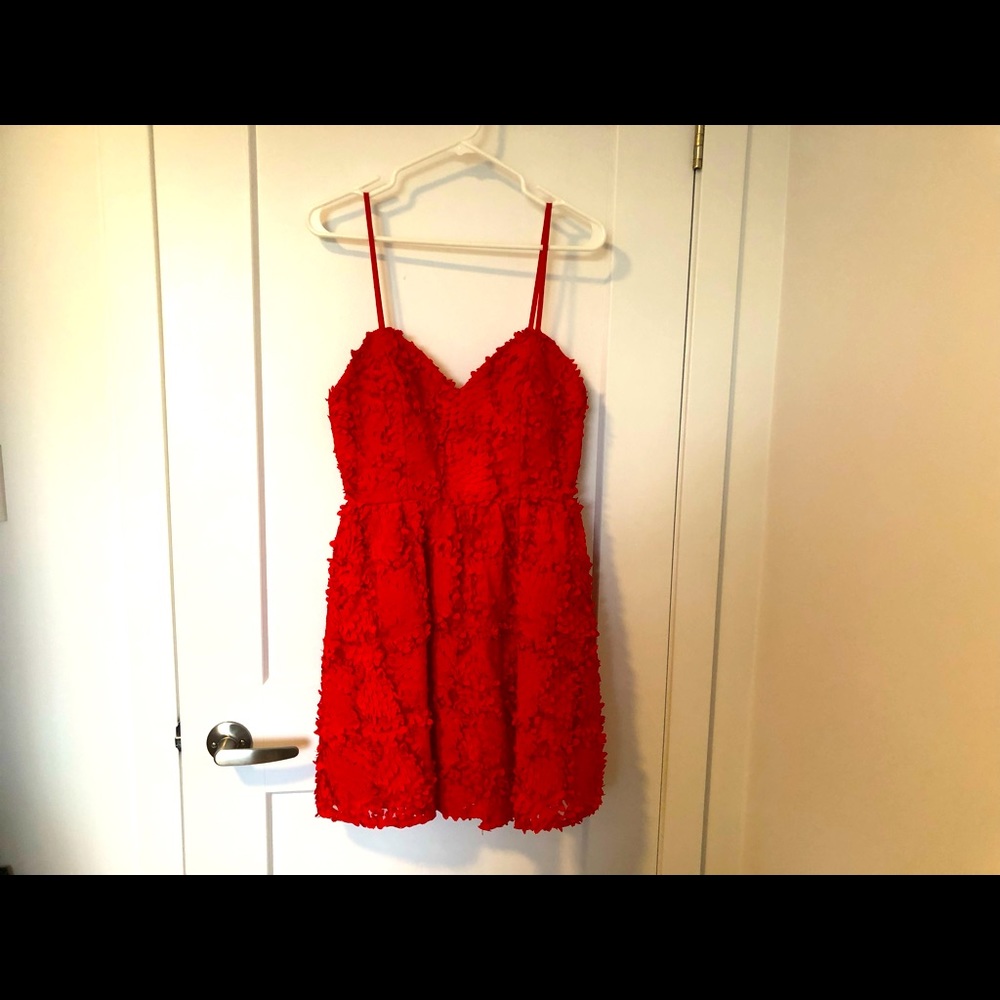 H&M Red Textured Dress - Picture 2 of 4
